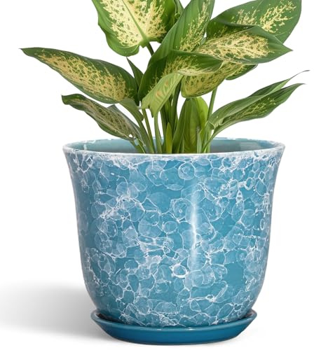 SUNPOTFOR Ceramic Pots for Plants - 5.6 Inch Plant Pot with Drainage Hole and Saucer, Round Succulent Flower Orchid Pot for Indoor Outdoor, Modern Planter, Home Room Decor, Gift for Plant Lover, Blue