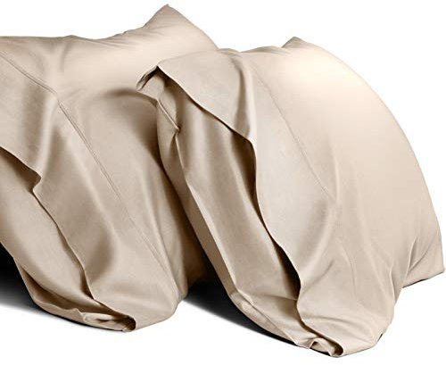 WishSmile Lot de 2 taies d'oreiller rafraîchissantes en Rayonne Douce et Soyeuse dérivée de Tissu de Bambou, évacuation de l'humidité, pour Les dormeurs Chauds, respectueux des Cheveux et de la Peau,