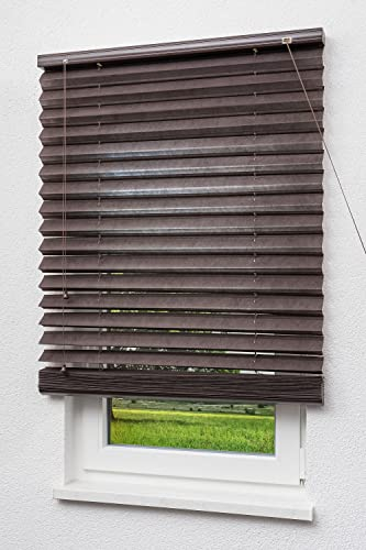 LYSEL Outlet - Jalousie mit Plissee-Effekt Braun in den Maßen (B x H) 80cm * 180cm