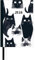 Taschenkalender »Cats« 2026 - Terminplaner mit Wochenkalendarium - Format 11,3 x 16,3 cm