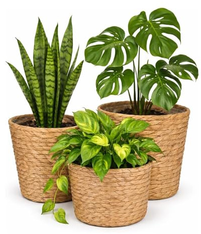 GreenWhim 3 Pcs Seagrass Woven Plant Pot with Waterproof Liner Natural Basket Planters for Indoor Plants Rustic Home Décor Foldable and Durable for Living Room Bedroom