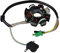LICHTMASCHINE Stator 8 Spulen GY6 125/150ccm 4-Takt China Roller Scooter
