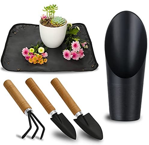 5 x Sukkulenten-Werkzeuge, Mini-Gartenwerkzeuge, Pflanzmatte als Pflanzenzubehör, Sukkulenten, Gartenarbeit, Handwerkzeug-Set für Sämling-Erde, Pflege von Sukkulenten, Bonsi, etc.