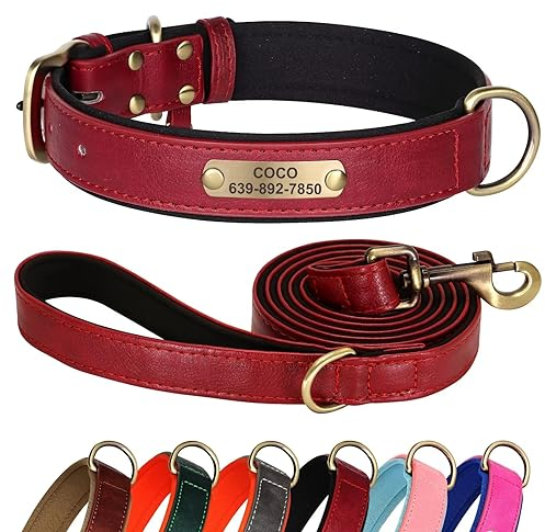 Didog Hundehalsband und Leine Set aus Leder für Kleine, Mittelgroße und Große Hunde - 1,5 m Weich Gepolsterte Hundeleine und Strapazierfähiges Halsband Mit Gravur