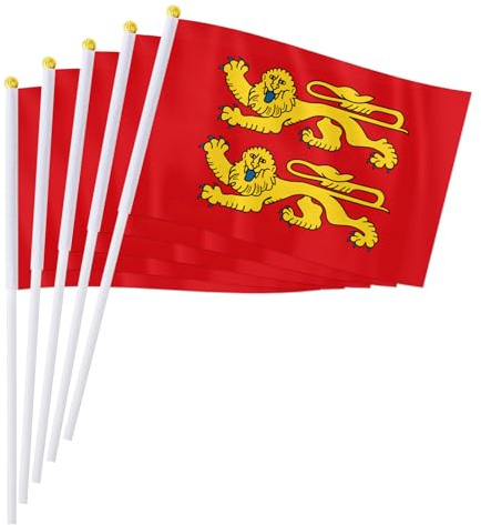 PTEROSAUR Lot de 100 drapeaux de France Normandie, 14 x 21 cm, petits drapeaux décoratifs à main (100)