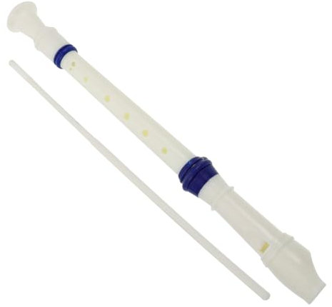 TOYANDONA Blockflöte Für Anfänger Tragbares Musikinstrument Aus Robustem Material Für Schüler Und Musikunterricht Farbenfrohes Design Für Kreatives Spielen Leicht Zu Erlernen Handhaben