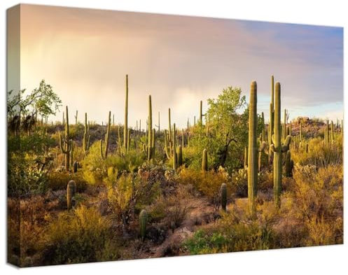 Kunstdruck auf Leinwand, Motiv: USA Arizona Saguaro National Park, Sonnenaufgang, Kaktus, Wandkunst für Wohnzimmer, Schlafzimmer, Badezimmer, Heimdekoration, gerahmtes Kunstwerk, fertig zum Aufhängen,