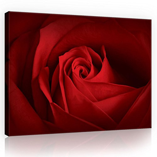 Forwall Leinwand Bilder - Blumen Rosa Rosen Rot - 80x60 cm | Leinwandbilder, Bild auf leinwand, Wandbild XXL groß Wandbilder für Wohnzimmer Schlafzimmer Wohnzimmerbilder