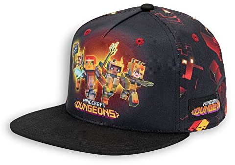 Casquette Minecraft Dungeons Character