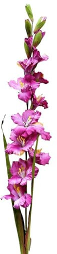 artplants.de Künstliche Gladiole THEOPHORA, violett-gelb, 110cm - Kunstblume Gladiole