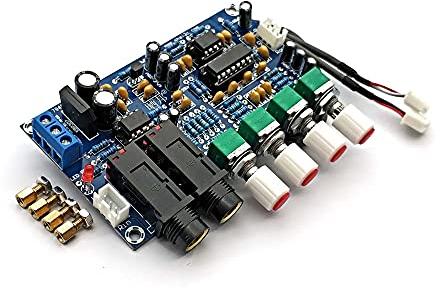 XH-M173 PT2399 Digitalmikrofon Verstärker Platine, Nachhall Karaoke, Verstärkermodul Dual AC12V