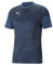 PUMA Herren Teamcup Training Jersey T-Shirt, Blau (Parisian Night), L