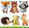 6 Stück Hirsch Waschbär Eichhörnchen Luftballon, Waldtiere Geburtstag Deko, Waldtiere Folienballon Geburtstag Deko, Party Dekorationen für Kinder Geburtstag, Babyparty, Abschluss, Geschenk