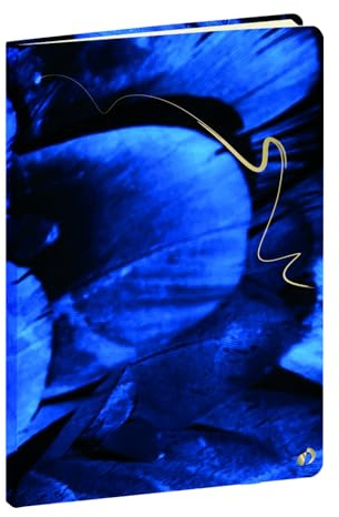 Quo Vadis Carnet de notes Hipsy Plume 15x21 cm