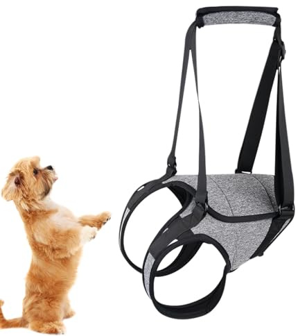 Hebegeschirr hinten für Hunde – Geschirr für Gehhilfe von Haustieren, Hinterbeinstütze für Hundegeschirr, für Treppen für Hunde fe