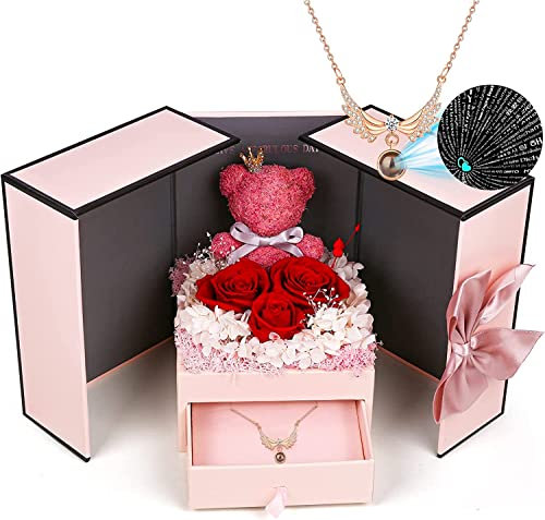 homicozy Konservierte Rose Geschenke Set enthält 925 Sterling Silber Halskette mit Ich Liebe Dich in 100 Sprachen, für Jahrestag Valentinstag Geburtstag Weihnachten, für Sie, Frau, Freundin