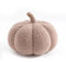 Bettschlange Kürbis Kissen, 3D Kürbis Deko, Halloween Plüsch Kürbis Kissen Gemütliche Herbst Gefüllte Zierkissen für Erntedankfest Weihnachten Schlafzimmer, Stuffed Plush, Hellbkaffee, 35cm
