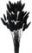 Pampasgras Trockenblumen 50 Stück Elegantes Pampasgras Deko Natürlich Blumenstrauß Flauschiges Getrocknete Blumen Herbst Boho Deko für Hochzeit Büro Schlafzimmer Wohnzimme (Schwarz)