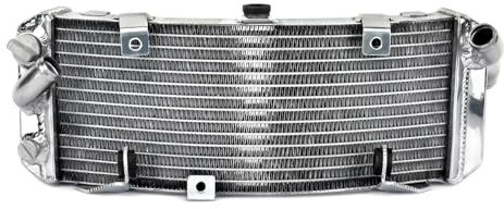 MINJKL Compatibile con T-Max 500 1997 1998 1999 2000 2001 2002 2003 2004 2005 2006 2007 2008 2009 2010 2011 Radiatore Motore Raffreddamento Acqua Serbatoi di Troppo Pieno
