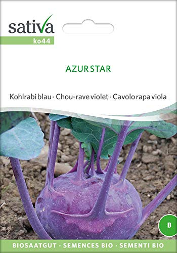 Sativa Rheinau ko44 Kohlrabi blau Azur Star (Bio-Kohlrabisamen)