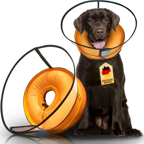 Aschpas® Gonfiabile 2 in 1 per cani con imbuto, protezione contro le perdite per cani dopo OP, Dog Cone, collare per gatti, ciambella per [Taglia 1]