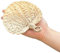 Éventail en feuille de palmier tissé à la main – Ventilateur d'été en rotin naturel | Éventail portable jaune pour décoration d'intérieur et accessoires de plage (S)