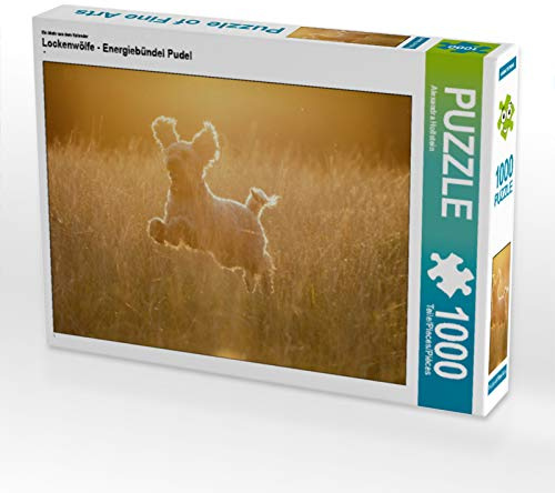 CALVENDO Puzzle EIN Motiv aus dem Kalender Lockenwölfe - Energiebündel Pudel | 1000 Teile Lege-Größe 64 x 48 cm Foto-Puzzle für glückliche Stunden