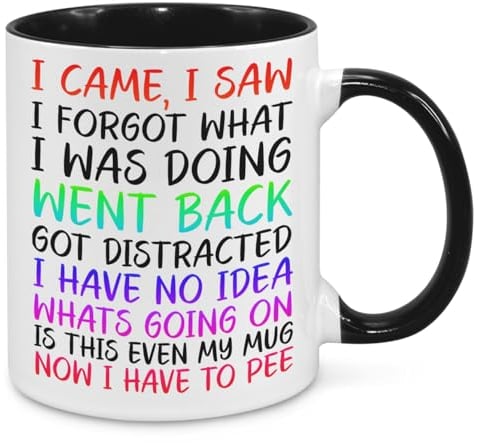 I Came I Saw I Forgot Mug - Funny Novelty Gift Silly Present Mugs for Women Birthday Christmas for Mum Dad Friend Sister for Men Colleague Secret Santa Work Quotes (Rainbow)