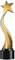 SWAYVES Trofei Trofeo Trofeo Stella a Cinque Punte, Coppa Del Vincitore in Metallo/Gold/8 * 8 * 33Cm