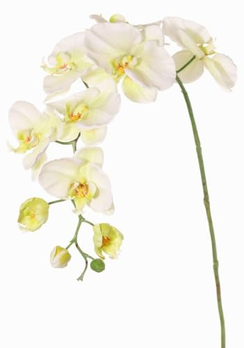 artplants.de Kunststoff Phalaenopsis Orchidee WESA, weiß-grün, 100cm | Künstlicher Orchideenzweig