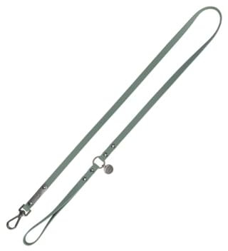 TRIXIE Hundeleine CityStyle L-XL, 1,00 m/20 mm Salbei – Hochwertige PVC-Leine für Hunde – rutschfest, wasserabweisend & abwaschbar für kleine, mittelgroße & große Hunde, 1971119