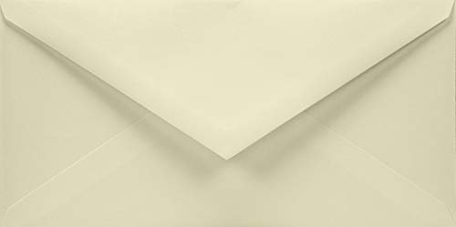 Netuno 100 Briefumschläge Elfenbein DIN lang 110 x 220 mm 120g Aster Smooth Ivory lange Umschläge ohne Fenster für Gruß-Karten Hochzeits-Karten Geburtstag Taufe Einladungs-Umschläge