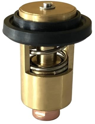 TENREV pièces de Rechange pour Bateaux Thermostat 105582-49200 for Ya-nm-AR 1GM 2GM 3GM 1GM10 2GM20 3GM30 42°C 124233-49250 181130-49200