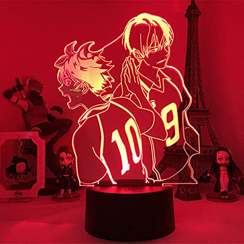 Anime LED Nachtlicht Shoyo Hinata Anime Haikyuu RGB Bunte 3D Illusionslampe Innenraum Dekoratives Licht Kind Geburtstagsgeschenk-16 Farbe mit Fernbedienung
