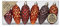 Inge-glas Christbaumschmuck Kunststoff 9cm 6 Stück Set Zapfen Weihnachtskugeln braun Kupfer Flame Mix