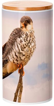 Keramiktopf mit Bambusdeckel - Falke auf einem Zweig wilder Ravovogel platziert - 887 ml (30 Unze) - Topf für Utensilien
