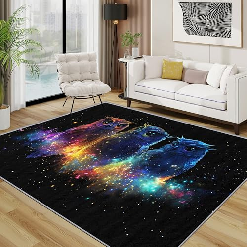 TerroVee Eule Teppich, Süß Fantasty Tiere Vogel Kleiner Teppich, Galaxie Sci Fi Waschbar Kurzflor Weich Teppiche Eingangsbereich Innen Küche, 60x90 cm, Schwarz Blau Violett
