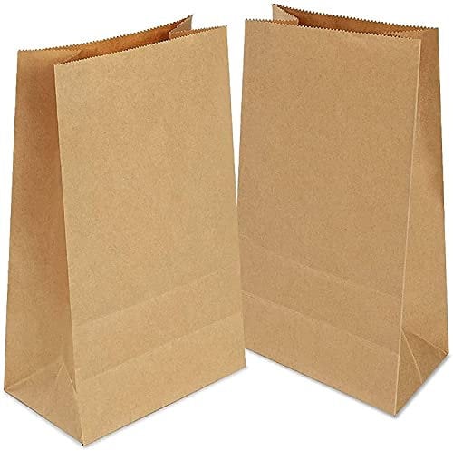 100 Stück Papiertüten Braun, Geschenktüten Partytüten aus Papier Kraftpapiertüten für Geburtstagsfeiern, Weihnachten, Hochzeit, Firmenfeier(verdicken70gsm)