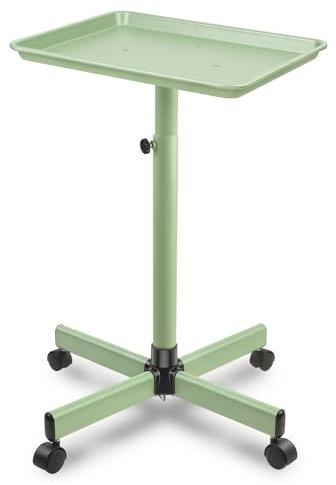 Salon Tray, Metal Feet Salon Tray Cart, Salon Color Tray with Adjustable Height, Salon Tray on Wheels, Salon Rolling Tray Ideal Use As Tattoo Tray, Medical Tray, Dental Tray