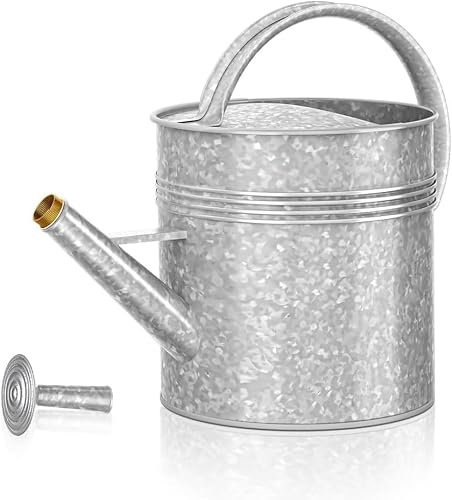 LONGRUN 10L Verzinkte Gießkanne mit Abnehmbarer Rosenbrause | Aus verzinktem Eisen, silber, 2 Wasserfunktionen, langer Ausguss für Garten & Balkon