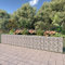 BaraSh Mur à Gabion avec couvercles Acier galvanisé 600 x 30 x 100 cm,Bordure Pierre,Kit Gabion,Gabion Jardiniere