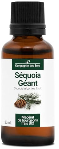 Séquoia Géant BIO - 30mL - (Sequoia Giganteum) – Macérat concentré de bourgeons frais