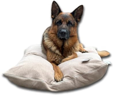 Dorian Home - Cuccia Cane Interno Taglia Grande, Media e Piccola - Cuscino Cane e Gatto Sfoderabile e Lavabile, Extra Imbottito e Morbido - Cuscino per Cani e Gatti Antimacchia Resistente ai Graffi