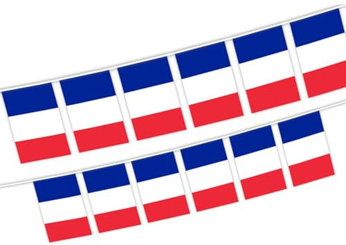 Okaywork 30 PCS Bandera de Francia 14 x 21cm, 10 Metros Guirnalda, Euro Fútbol 2024, Banderines para Fans Bares Fiesta Calles Decoración, Eventos Deportivos