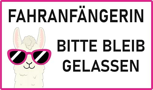 Fahranfänger Aufkleber 20×12 cm – Anfänger Schild Auto, wetterfester Rückstandsfreier Sticker für Führerschein Geschenk, Hinweis Aufkleber Beginner (Fahranfängerin)