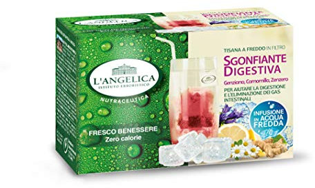 L'Angelica Tisana A Freddo Sgonfiante Digestiva - 10 Confezioni Da 18 Filtri, color Verde, 15 Unità - Confezione da 10