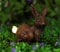 Garden Mile Solar Rabbit Ornament for Garden - Bronze Effect Ornaments Outdoor Statue Waterproof Resin Sculpture with Solar Lights Outdoor Ornament Animal Sculpture for Garden
