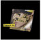 TAEMIN SHINee - Guilty [Digipack ver.] Album+Store Gift