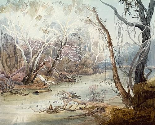 PTLYE Ölgemälde Wand Bild Auf Leinwand Leinwand Kunst Der Fluss in Der Nähe Von New Harmony Indiana Von Karl Bodmer Leinwandbilder Bildfür Wanddekoration 60x90cm