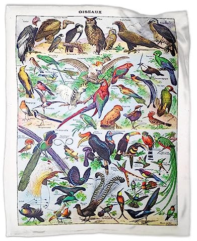 iftoday Coperta in pile super morbida, stile retrò, vintage, colorata, con uccellini colorati, idea regalo per amanti dei tarocchi, 152 x 127 cm, per adolescenti, super morbida, per letto e divano